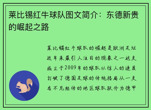 莱比锡红牛球队图文简介：东德新贵的崛起之路
