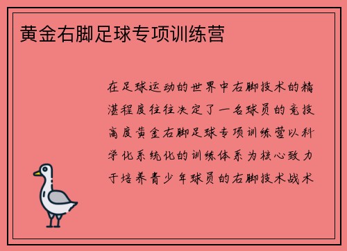 黄金右脚足球专项训练营